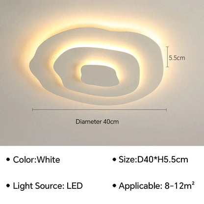 Modern Flush Mount Ceiling Light