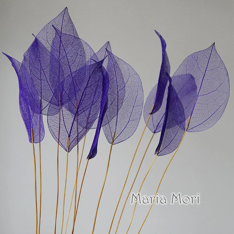 Lucent Leaf Vein Decoration Stems