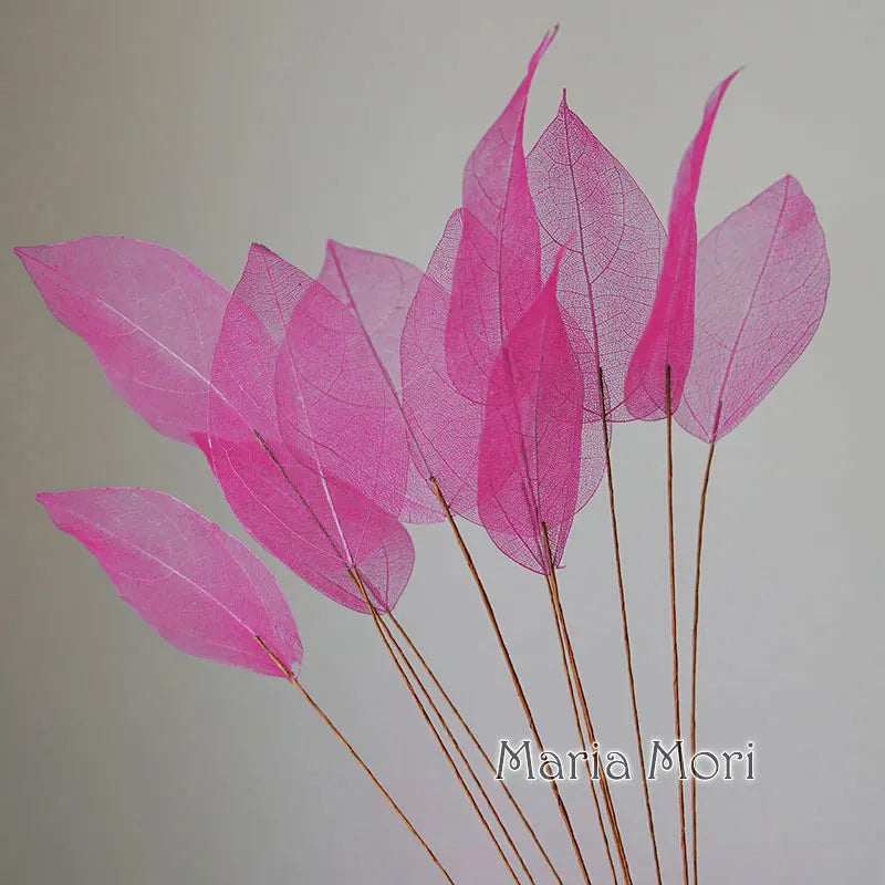 Lucent Leaf Vein Decoration Stems