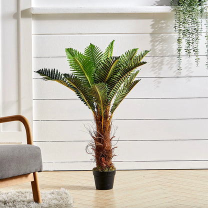 Potted plant in a room with a wooden floor and white wall