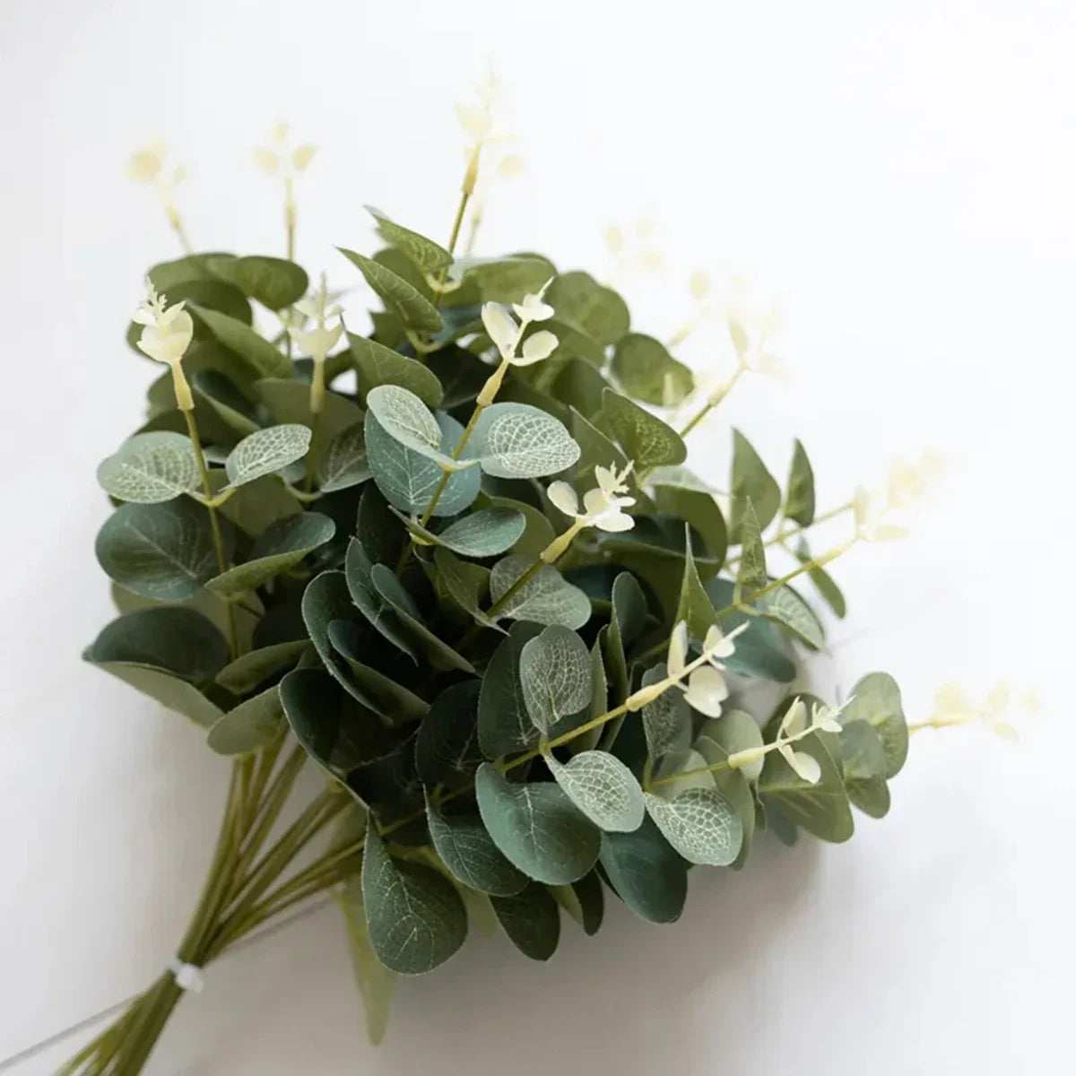 Bouquet of green leaves on a white background